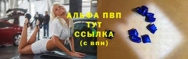 твердый Пересвет