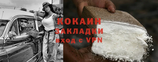 дживик Алексин